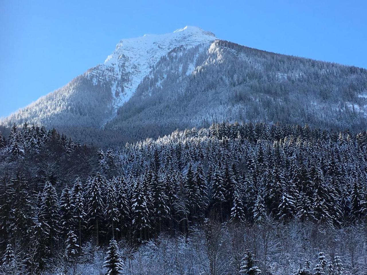Gasthof Oberwirt راماسو المظهر الخارجي الصورة